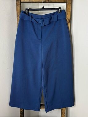 Ann Taylor Wide Leg Belted Pants in Deep Blue Size 6